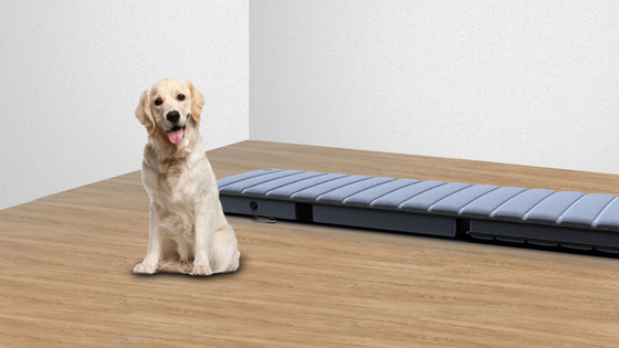 Matelas de massagem dobráveis de poliéster preto com controle remoto